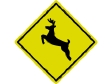 deer crossing.gif